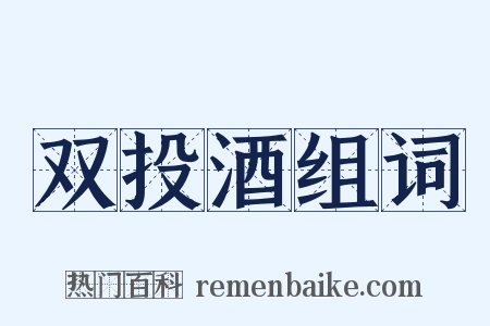 双投酒组词是什么意思的图片
